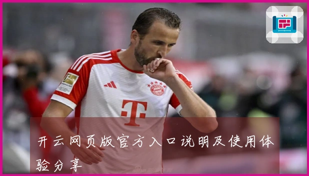 开云网页版官方入口说明及使用体验分享